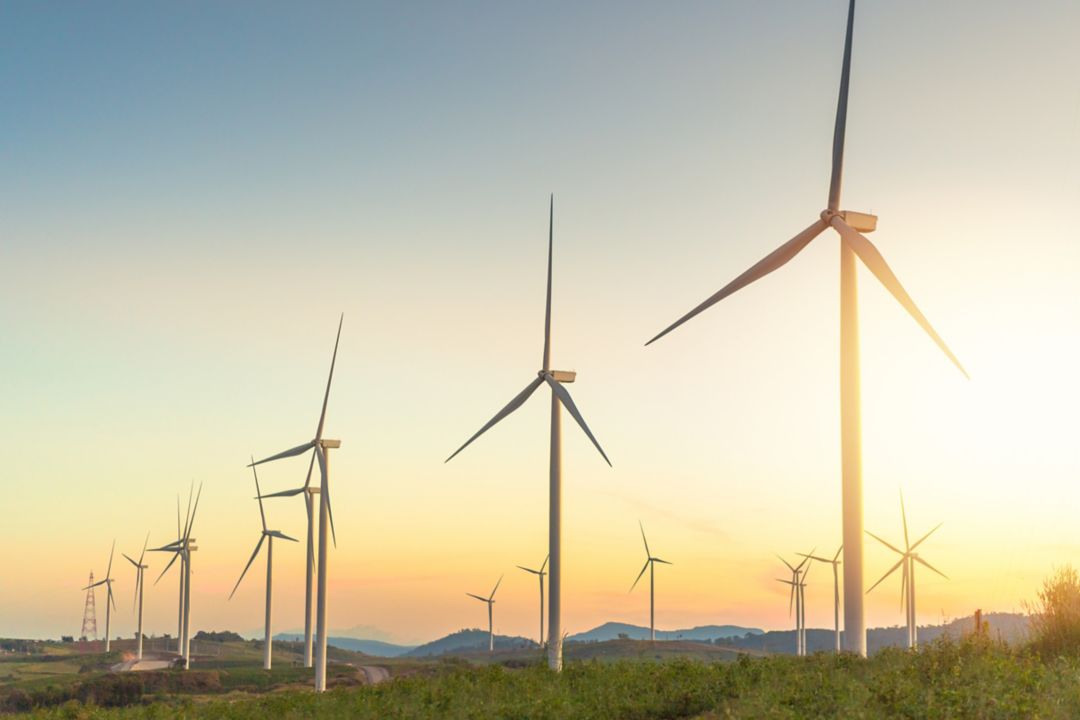 Rows of windmills to produce electricity